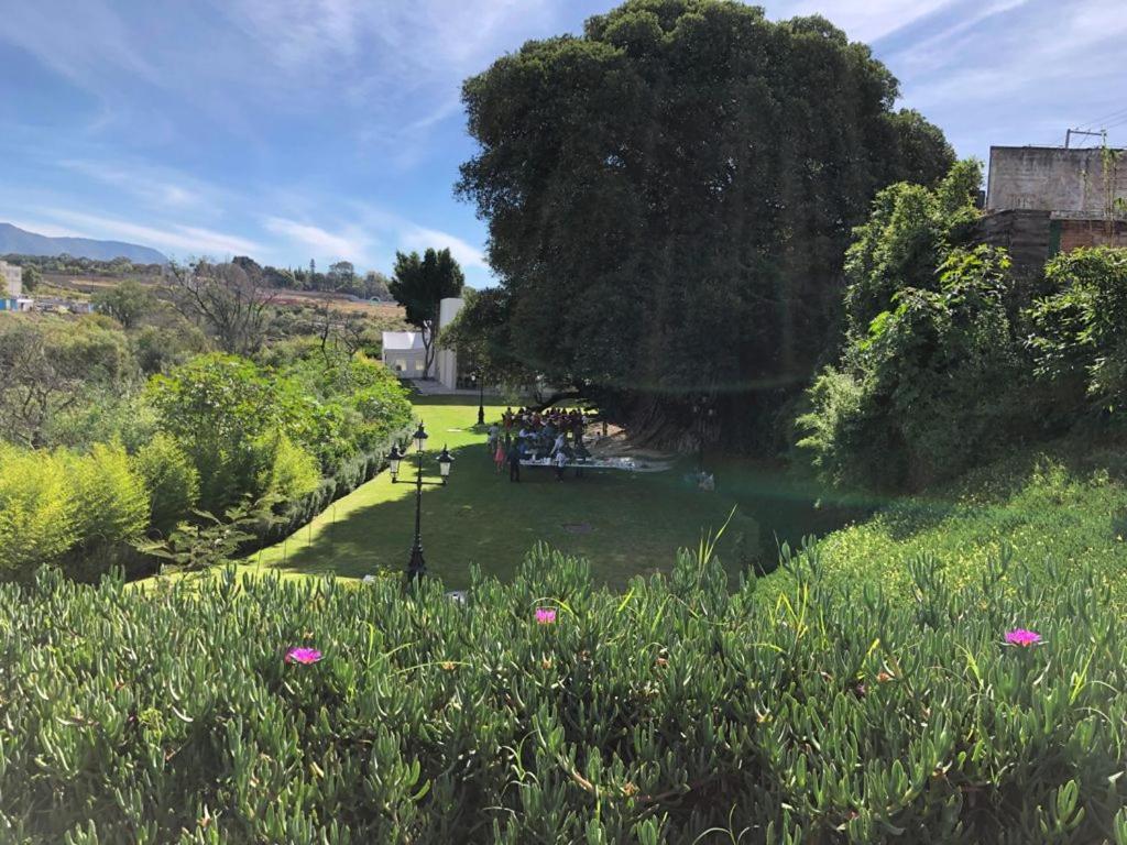 Bv Hotel Atlixco Εξωτερικό φωτογραφία